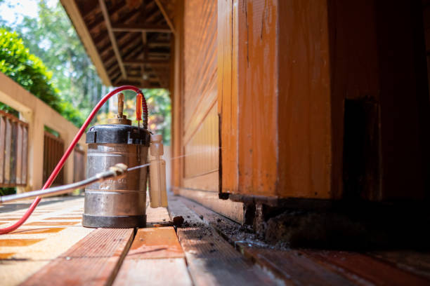 Best Affordable Pest Control Services  in Bret Harte, CA