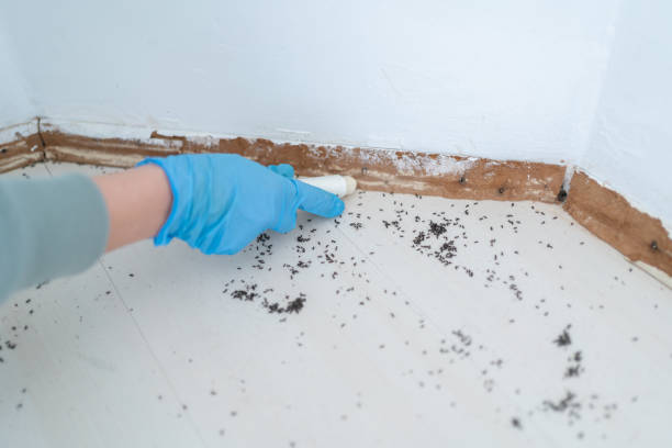 Best Pest Removal Services  in Bret Harte, CA